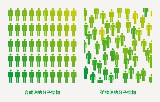 埃克森美孚PAO家族成员大盘点