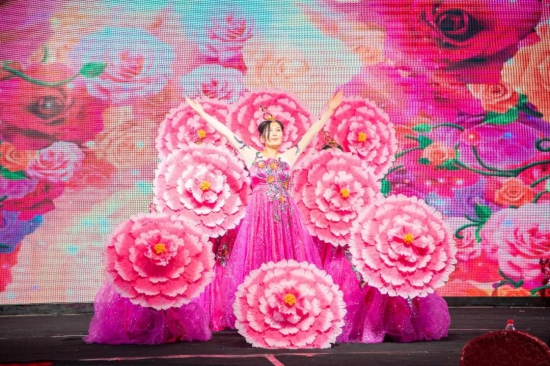 瑞丰新材表彰暨迎春晚会