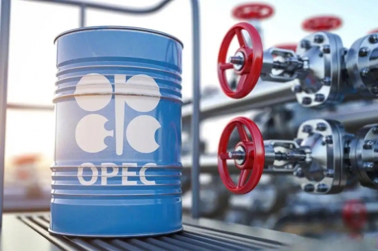 OPECԤ⣺2025OPEC+͹ӦŻ10Ͱ/