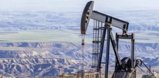 2026ԭ������80��Ͱ/�գ�������������������