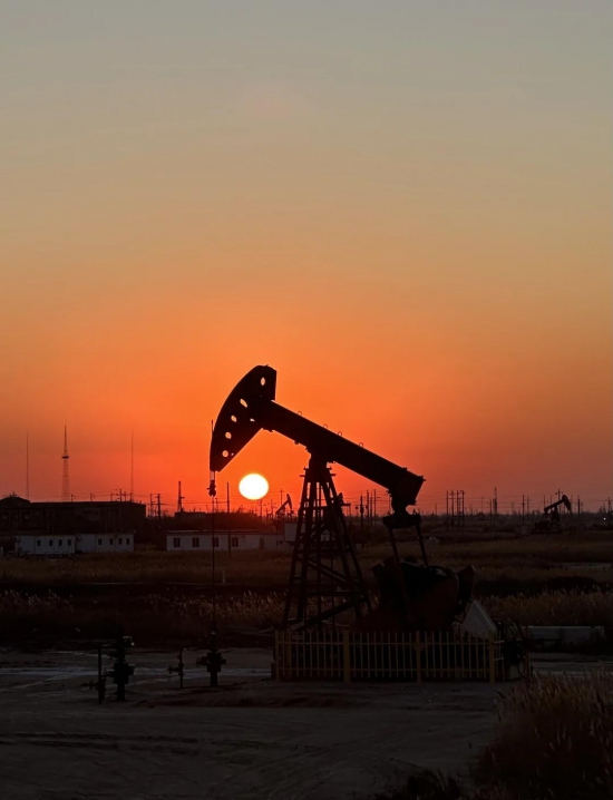 �ͼ����ǣ�������˹̹��Ӧ�жϣ����������ֹ�