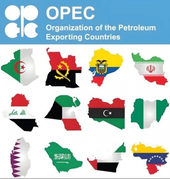 ŷ���+ȷ��4������20.6��Ͱ/�� ���꽫�����г�״�����ֳ�������