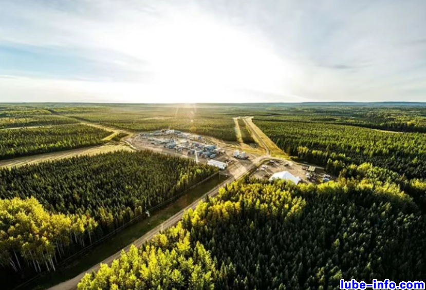 ��������164����Ԫ�չ����ô�ARC��Դ��˾